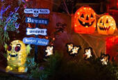 Halloween / Fall